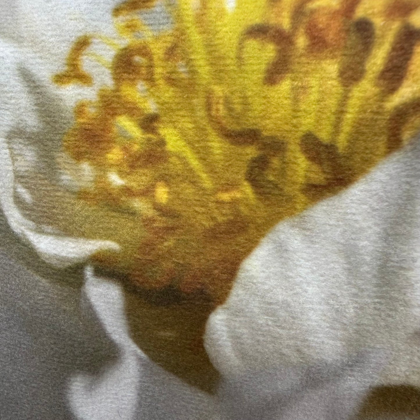 C 131