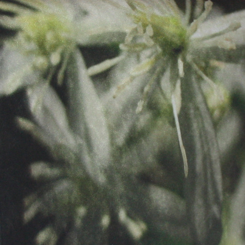 C 166